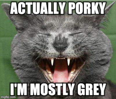 ACTUALLY PORKY I'M MOSTLY GREY | made w/ Imgflip meme maker
