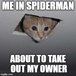 Ceiling Cat | ME IN SPIDERMAN; ABOUT TO TAKE OUT MY OWNER | image tagged in memes,ceiling cat | made w/ Imgflip meme maker