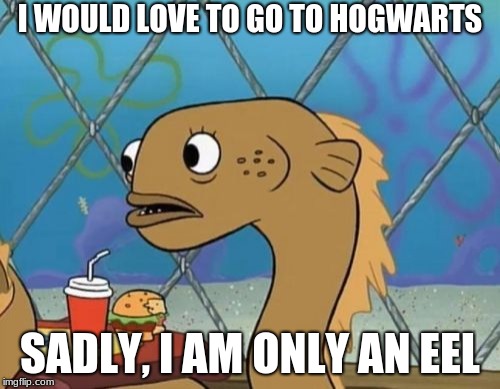 Sadly I Am Only An Eel |  I WOULD LOVE TO GO TO HOGWARTS; SADLY, I AM ONLY AN EEL | image tagged in memes,sadly i am only an eel | made w/ Imgflip meme maker