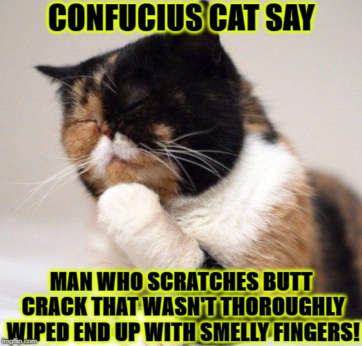 CONFUCIUS CAT SAY; MAN WHO SCRATCHES BUTT CRACK THAT WASN'T THOROUGHLY WIPED END UP WITH SMELLY FINGERS! | image tagged in confucius cat | made w/ Imgflip meme maker