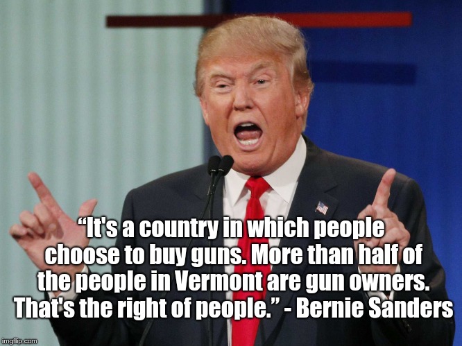 That's the right of people | “It's a country in which people choose to buy guns. More than half of the people in Vermont are gun owners. That's the right of people.” - Bernie Sanders | image tagged in donald trump,bernie sanders,guns,gun control | made w/ Imgflip meme maker