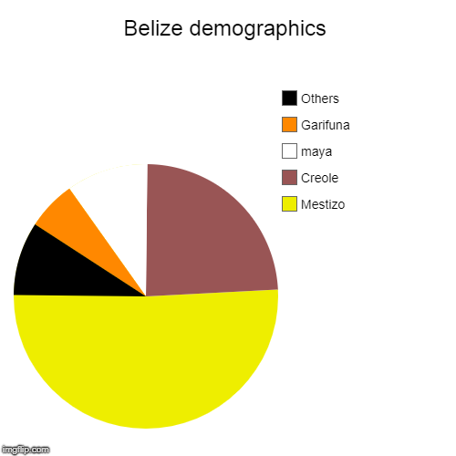 Belize demographics | Mestizo, Creole, maya, Garifuna, Others | image tagged in pie charts,belize | made w/ Imgflip chart maker