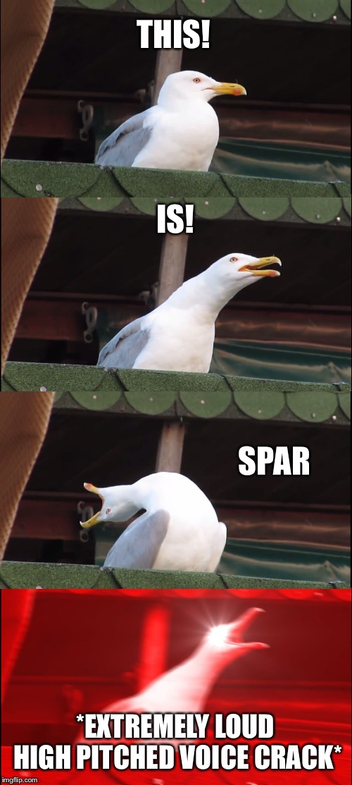 Inhaling Seagull | THIS! IS! SPAR; *EXTREMELY LOUD HIGH PITCHED VOICE CRACK* | image tagged in memes,inhaling seagull | made w/ Imgflip meme maker