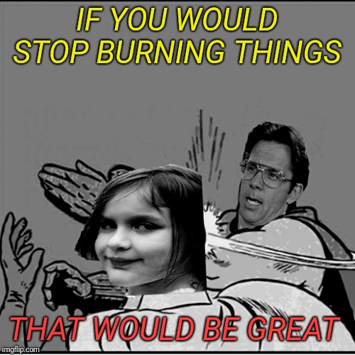 Slapping what needs to be slapped  |  IF YOU WOULD STOP BURNING THINGS; THAT WOULD BE GREAT | image tagged in memes,disaster girl,that would be great,black and white | made w/ Imgflip meme maker