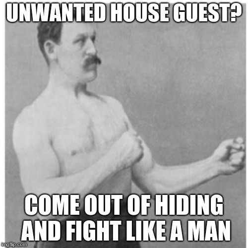 Overly Manly Man | UNWANTED HOUSE GUEST? COME OUT OF HIDING AND FIGHT LIKE A MAN | image tagged in memes,overly manly man | made w/ Imgflip meme maker