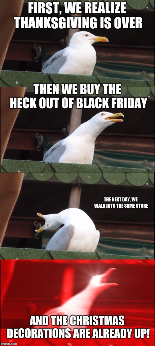 Inhaling Seagull | FIRST, WE REALIZE THANKSGIVING IS OVER; THEN WE BUY THE HECK OUT OF BLACK FRIDAY; THE NEXT DAY, WE WALK INTO THE SAME STORE; AND THE CHRISTMAS DECORATIONS ARE ALREADY UP! | image tagged in memes,inhaling seagull | made w/ Imgflip meme maker