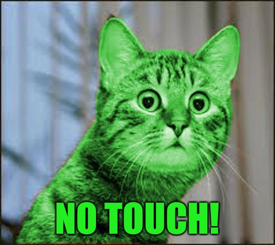 RayCat WTF | NO TOUCH! | image tagged in raycat wtf | made w/ Imgflip meme maker