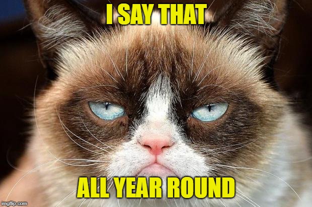 Grumpy Cat Not Amused Meme | I SAY THAT ALL YEAR ROUND | image tagged in memes,grumpy cat not amused,grumpy cat | made w/ Imgflip meme maker