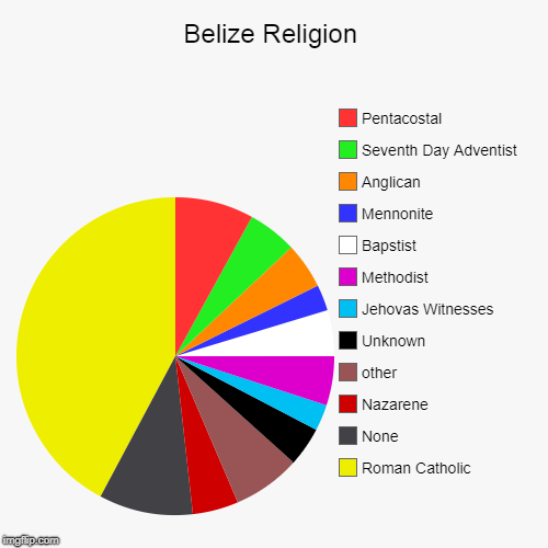 Belize Religion | Roman Catholic, None, Nazarene, other, Unknown, Jehovas Witnesses, Methodist, Bapstist, Mennonite, Anglican, Seventh Day A | image tagged in pie charts,belize | made w/ Imgflip chart maker