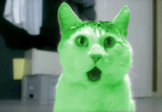 OMG RayCat | :) | image tagged in omg raycat | made w/ Imgflip meme maker