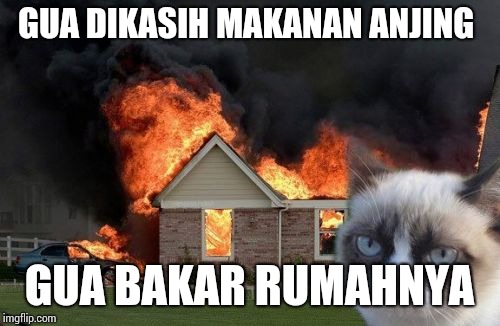 Burn Kitty Meme Imgflip