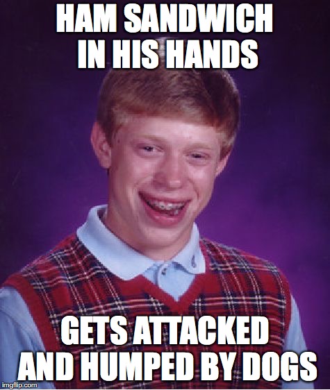 Bad Luck Brian | HAM SANDWICH IN HIS HANDS; GETS ATTACKED AND HUMPED BY DOGS | image tagged in memes,bad luck brian | made w/ Imgflip meme maker