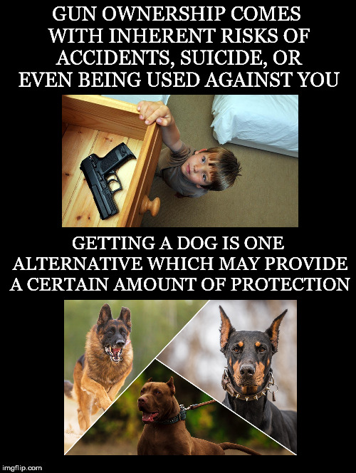Other Options | GUN OWNERSHIP COMES WITH INHERENT RISKS OF ACCIDENTS, SUICIDE, OR EVEN BEING USED AGAINST YOU; GETTING A DOG IS ONE ALTERNATIVE WHICH MAY PROVIDE A CERTAIN AMOUNT OF PROTECTION | image tagged in guns,ownership,risk,dogs,alternative,protection | made w/ Imgflip meme maker