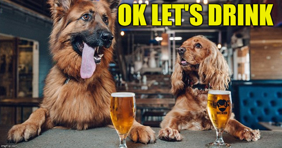 dog drinking | OK LET'S DRINK | image tagged in dog drinking | made w/ Imgflip meme maker