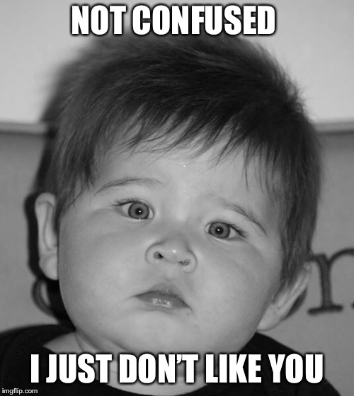 NOT CONFUSED; I JUST DON’T LIKE YOU | image tagged in chubby | made w/ Imgflip meme maker