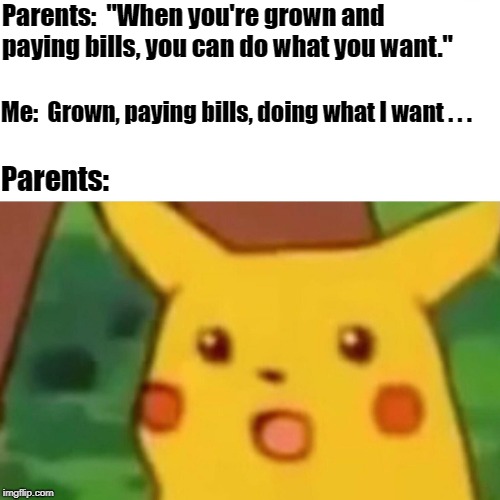 Surprised Pikachu Meme | Parents:  "When you're grown and paying bills, you can do what you want."; Me:  Grown, paying bills, doing what I want . . . Parents: | image tagged in memes,surprised pikachu | made w/ Imgflip meme maker