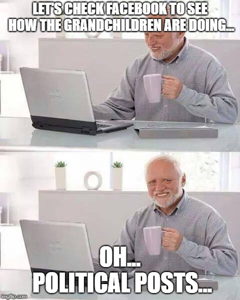 Facebook | LET'S CHECK FACEBOOK TO SEE HOW THE GRANDCHILDREN ARE DOING... OH... POLITICAL POSTS... | image tagged in memes,hide the pain harold | made w/ Imgflip meme maker