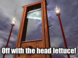 guillotine | Off with the head lettuce! | image tagged in guillotine | made w/ Imgflip meme maker