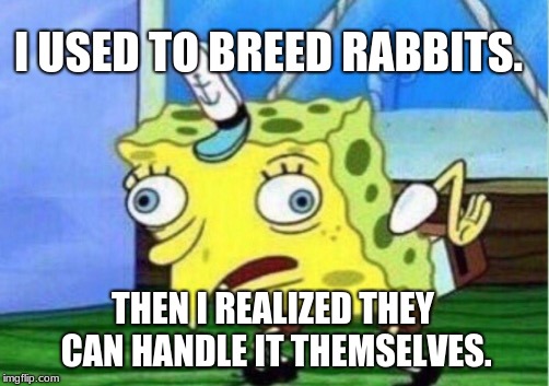 Mocking Spongebob |  I USED TO BREED RABBITS. THEN I REALIZED THEY CAN HANDLE IT THEMSELVES. | image tagged in memes,mocking spongebob | made w/ Imgflip meme maker