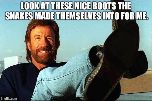 Chuck Norris Says | LOOK AT THESE NICE BOOTS THE SNAKES MADE THEMSELVES INTO FOR ME. | image tagged in chuck norris says | made w/ Imgflip meme maker