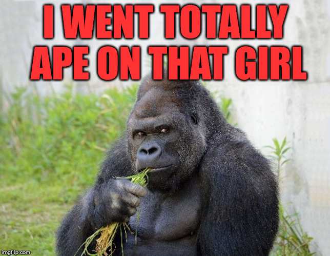 I WENT TOTALLY APE ON THAT GIRL | image tagged in sexy monkey memes gorilla | made w/ Imgflip meme maker