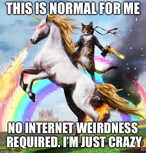 Welcome To The Internets | THIS IS NORMAL FOR ME; NO INTERNET WEIRDNESS REQUIRED. I’M JUST CRAZY | image tagged in memes,welcome to the internets | made w/ Imgflip meme maker
