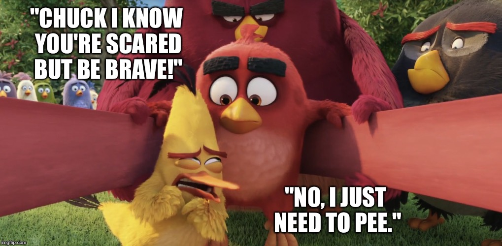 ANGRY BIRDS | "CHUCK I KNOW YOU'RE SCARED BUT BE BRAVE!"; "NO, I JUST NEED TO PEE." | image tagged in angry birds | made w/ Imgflip meme maker
