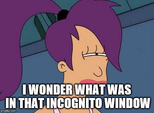 Futurama Leela | I WONDER WHAT WAS IN THAT INCOGNITO WINDOW | image tagged in futurama leela | made w/ Imgflip meme maker