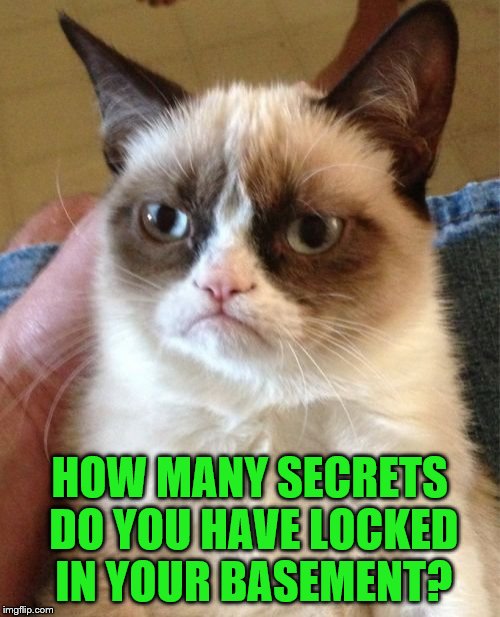Grumpy Cat Meme | HOW MANY SECRETS DO YOU HAVE LOCKED IN YOUR BASEMENT? | image tagged in memes,grumpy cat | made w/ Imgflip meme maker