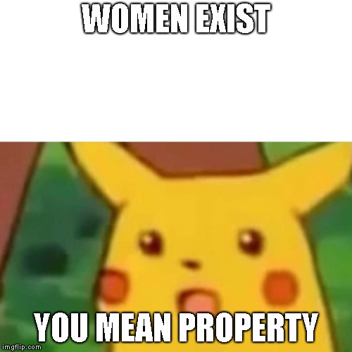 Surprised Pikachu Meme | WOMEN EXIST; YOU MEAN PROPERTY | image tagged in memes,surprised pikachu | made w/ Imgflip meme maker
