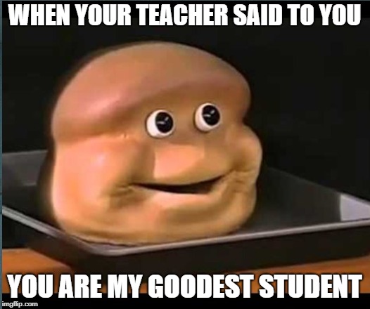 Good day meme | WHEN YOUR TEACHER SAID TO YOU; YOU ARE MY GOODEST STUDENT | image tagged in memes | made w/ Imgflip meme maker