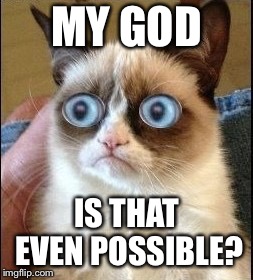 Grumpy Cat Shocked | MY GOD IS THAT EVEN POSSIBLE? | image tagged in grumpy cat shocked | made w/ Imgflip meme maker