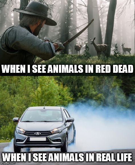 WHEN I SEE ANIMALS IN RED DEAD; WHEN I SEE ANIMALS IN REAL LIFE | image tagged in video games,red dead redemption,games,rockstar | made w/ Imgflip meme maker