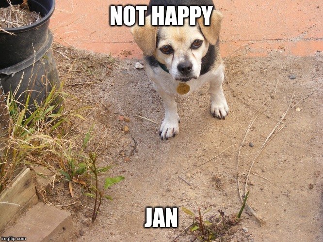 NOT HAPPY; JAN | image tagged in not happy jan | made w/ Imgflip meme maker