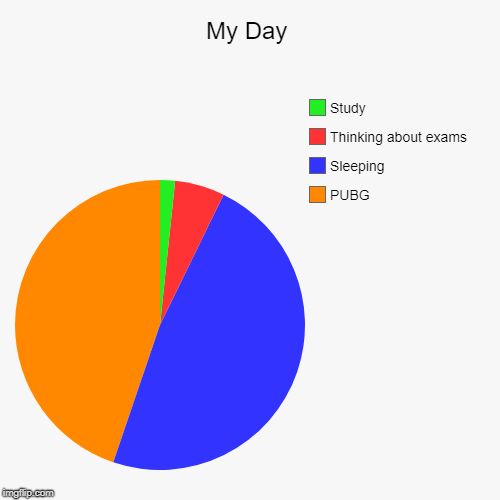 My Day | PUBG, Sleeping, Thinking about exams, Study | image tagged in funny,pie charts | made w/ Imgflip chart maker