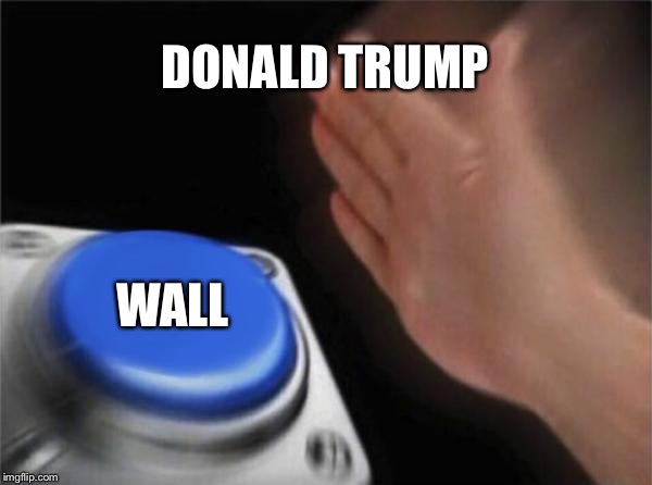 Blank Nut Button | DONALD TRUMP; WALL | image tagged in memes,blank nut button | made w/ Imgflip meme maker