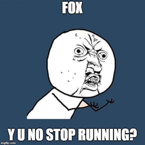 Y U No Meme | FOX Y U NO STOP RUNNING? | image tagged in memes,y u no | made w/ Imgflip meme maker