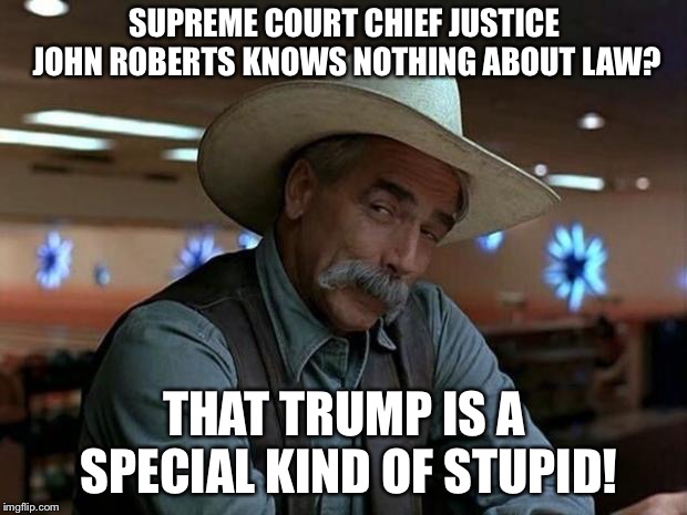 SCOTUS CJ knows nothing about law? | SUPREME COURT CHIEF JUSTICE JOHN ROBERTS KNOWS NOTHING ABOUT LAW? THAT TRUMP IS A SPECIAL KIND OF STUPID! | image tagged in special kind of stupid | made w/ Imgflip meme maker
