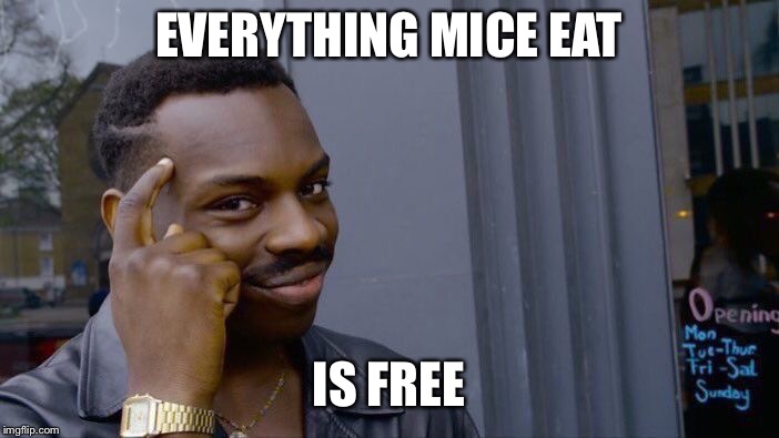 Roll Safe Think About It Meme | EVERYTHING MICE EAT IS FREE | image tagged in memes,roll safe think about it | made w/ Imgflip meme maker