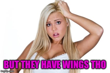 Dumb Blonde | BUT THEY HAVE WINGS THO | image tagged in dumb blonde | made w/ Imgflip meme maker