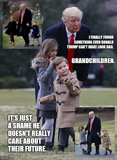 Give Credit Where Credit Is Due. | I FINALLY FOUND SOMETHING EVEN DONALD TRUMP CAN'T MAKE LOOK BAD. GRANDCHILDREN. IT'S JUST A SHAME HE DOESN'T REALLY CARE ABOUT THEIR FUTURE. | image tagged in grandchildren,grandma,grandpa,trump is an asshole,sad but true,memes | made w/ Imgflip meme maker