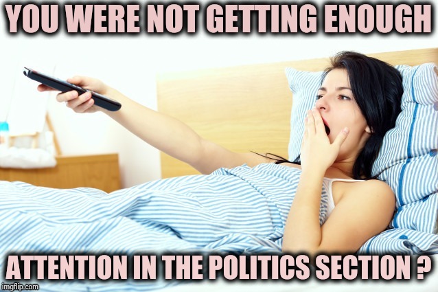 Boooriiing | YOU WERE NOT GETTING ENOUGH ATTENTION IN THE POLITICS SECTION ? | image tagged in boooriiing | made w/ Imgflip meme maker