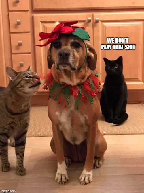 Cats are Cool | WE DON'T PLAY THAT SHIT | image tagged in christmas,funny animals,cats | made w/ Imgflip meme maker