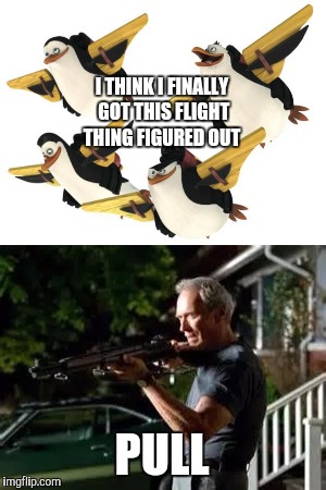I THINK I FINALLY GOT THIS FLIGHT THING FIGURED OUT PULL | image tagged in gran torino rifle | made w/ Imgflip meme maker