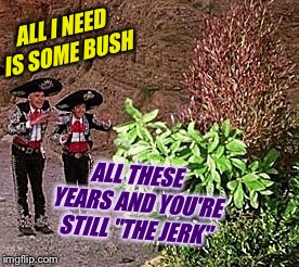 ALL I NEED IS SOME BUSH ALL THESE YEARS AND YOU'RE STILL "THE JERK" | made w/ Imgflip meme maker