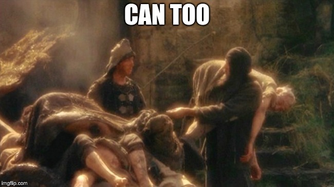 Holy Grail bring out your Dead Memes | CAN TOO | image tagged in holy grail bring out your dead memes | made w/ Imgflip meme maker