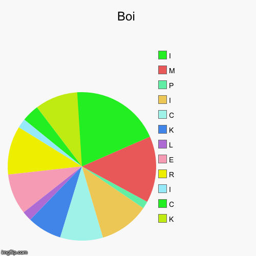 Boi | K, C, I, R, E, L, K, C, I, P, M, I | image tagged in funny,pie charts | made w/ Imgflip chart maker