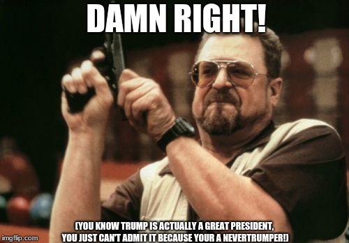 Am I The Only One Around Here Meme | DAMN RIGHT! (YOU KNOW TRUMP IS ACTUALLY A GREAT PRESIDENT, YOU JUST CAN'T ADMIT IT BECAUSE YOUR A NEVERTRUMPER!) | image tagged in memes,am i the only one around here | made w/ Imgflip meme maker