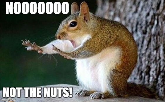 NOOOOOOO NOT THE NUTS! | made w/ Imgflip meme maker