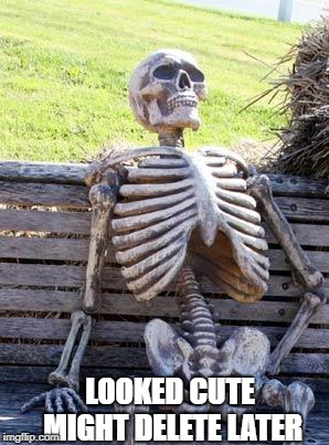 Waiting Skeleton Meme | LOOKED CUTE MIGHT DELETE LATER | image tagged in memes,waiting skeleton | made w/ Imgflip meme maker